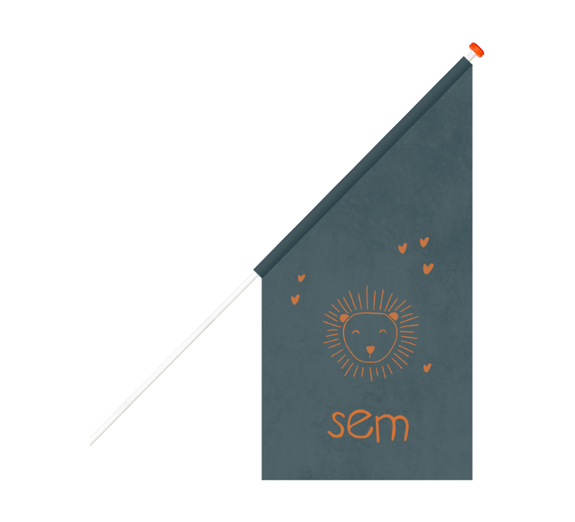 Blauwe geboortevlag met getekende leeuwenkop en hartjes