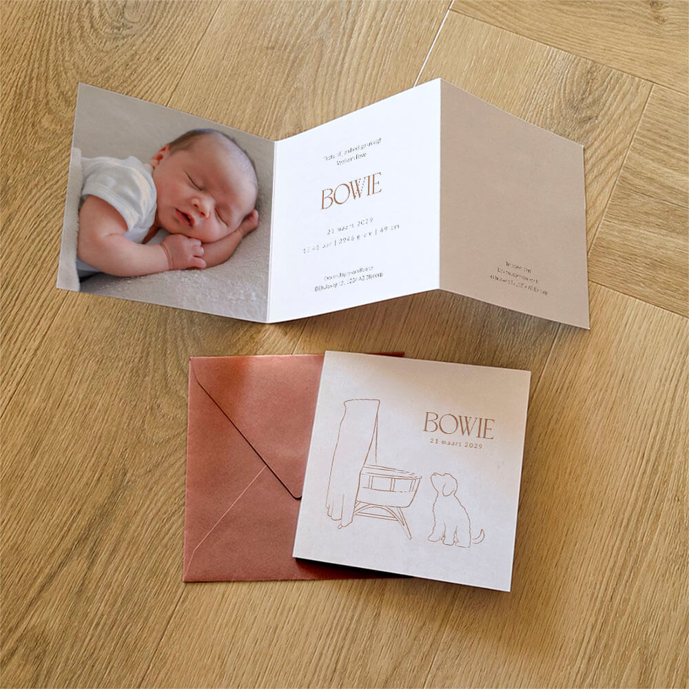 Zigzag unisex geboortekaartje met lijntekening labradoodle en wieg