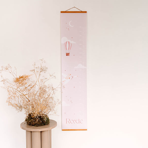 Rosa Messlatte mit Heißluftballon, einer Gans und Wolken 