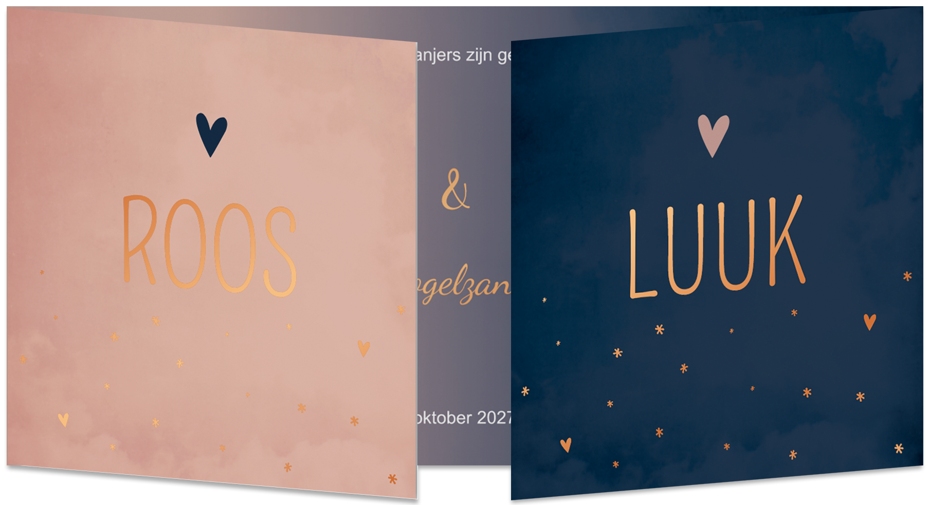 Geboortekaartje Tweeling Luikkaartje Panorama Jongen-meisje