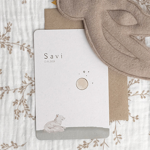 Dieren geboortekaartje jongen met vos en broertje beer