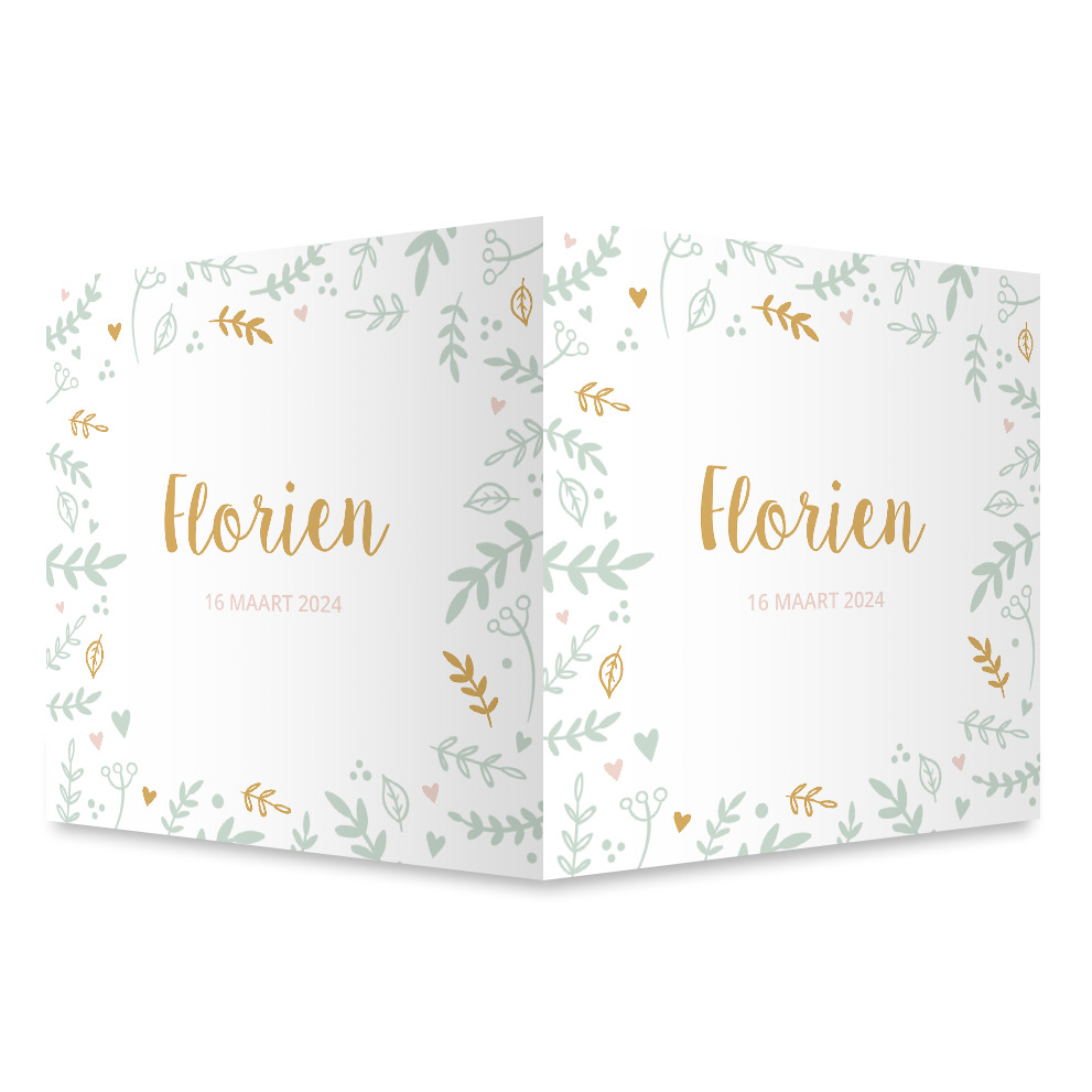 Geboortebord meisje takjes mint