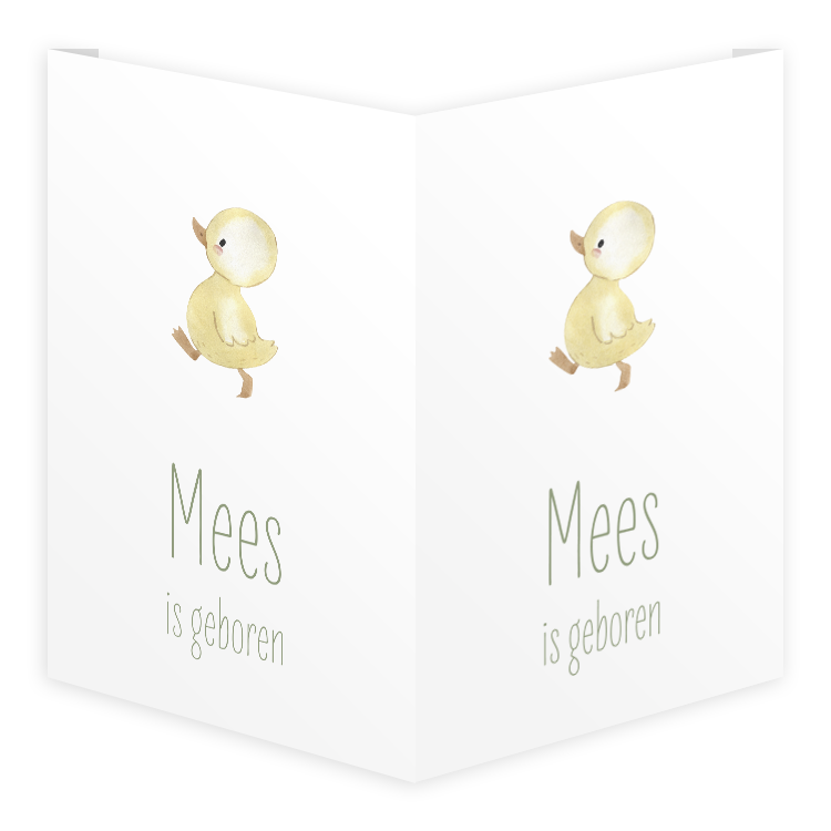 Raambord staand dubbel 40x60 cm | Waterverf eendje