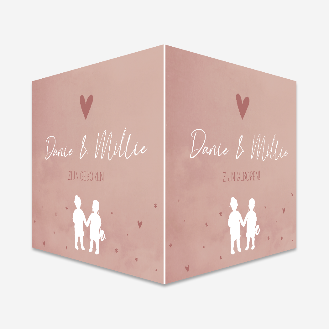 Raambord Geboortebord Silhouet Roze Zusjes