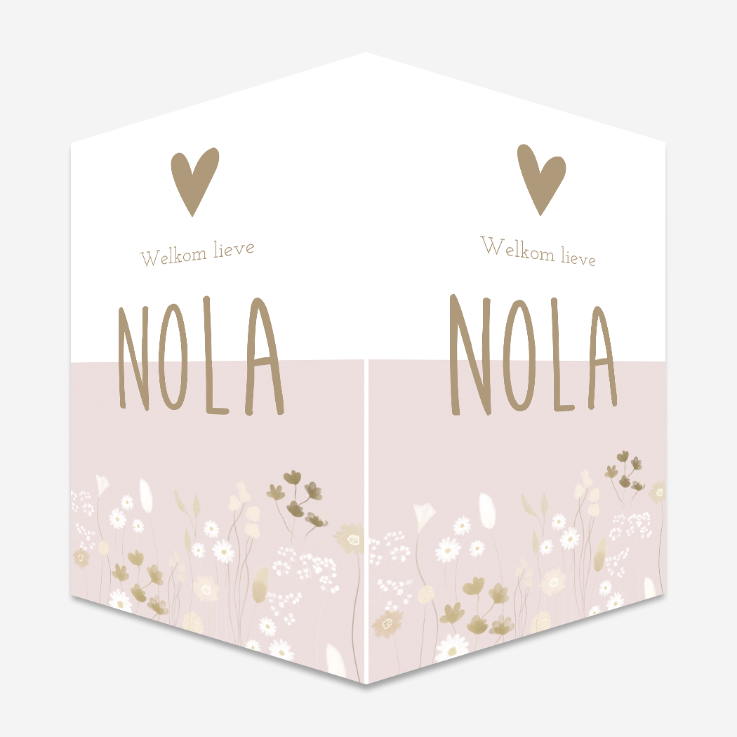 Raambord Droogbloemen wit Roze