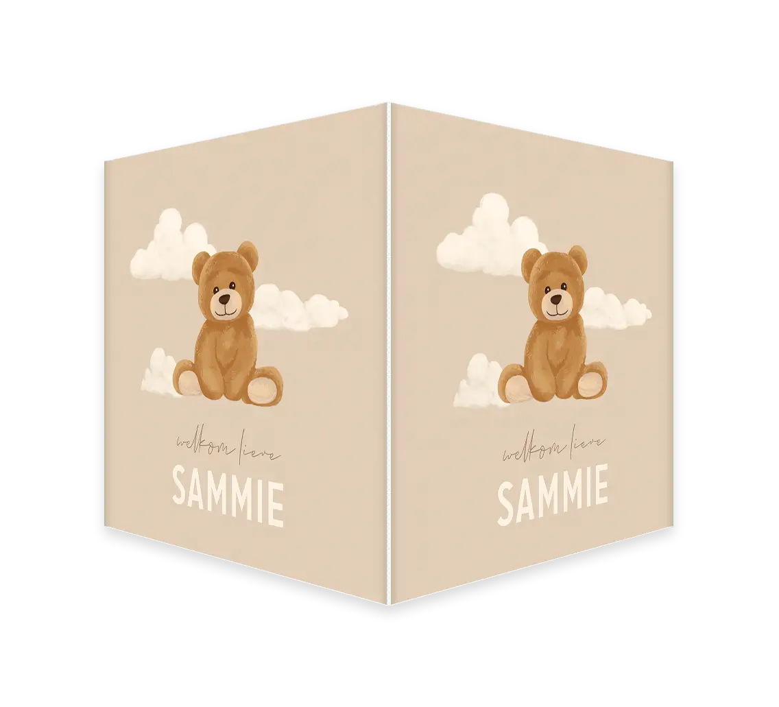 Lief raambord beige met beertje en wolkjes