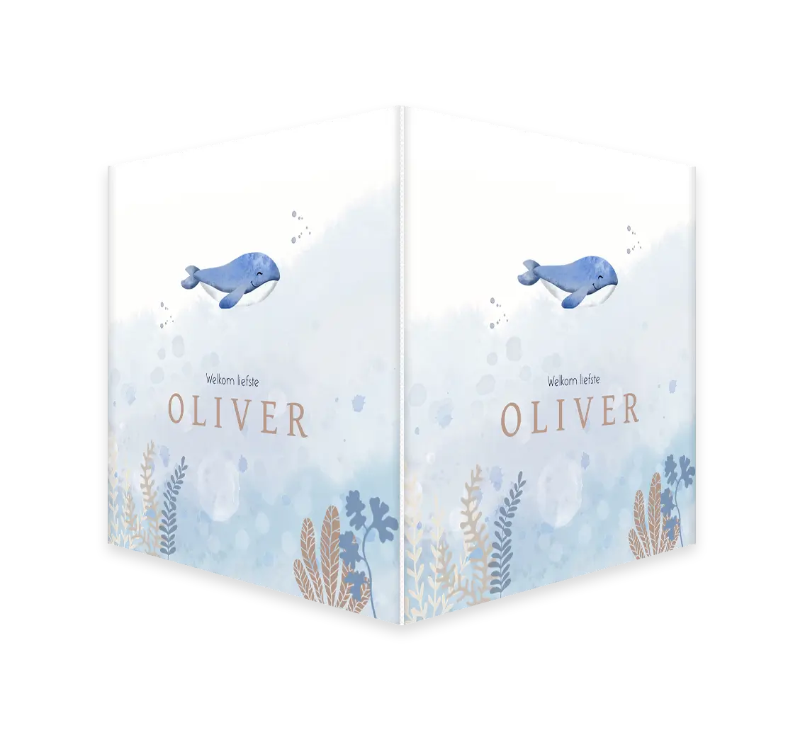 Raambord blauwe watercolour met walvis