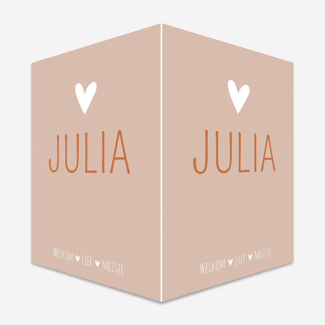 Raambord XL Roze Hartje