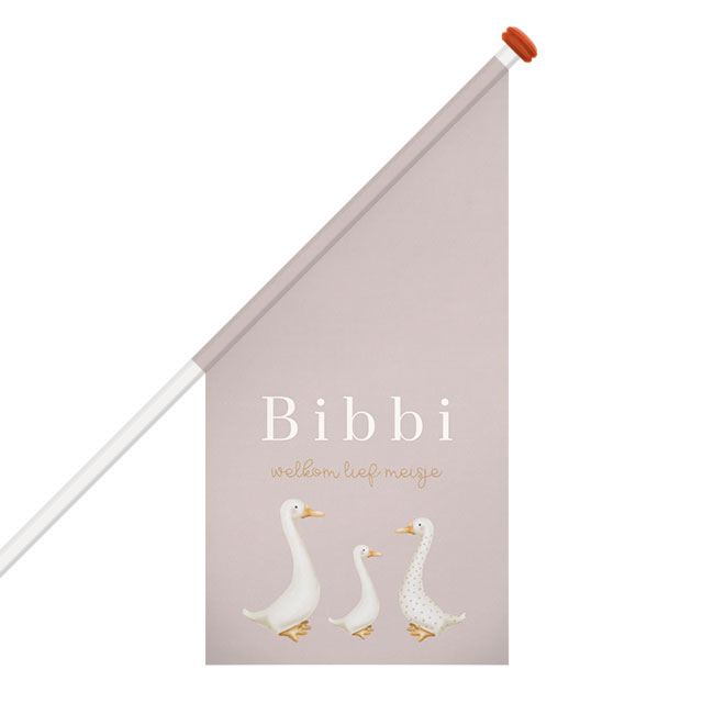 Lieve geboortevlag met gansjes voor een meisje