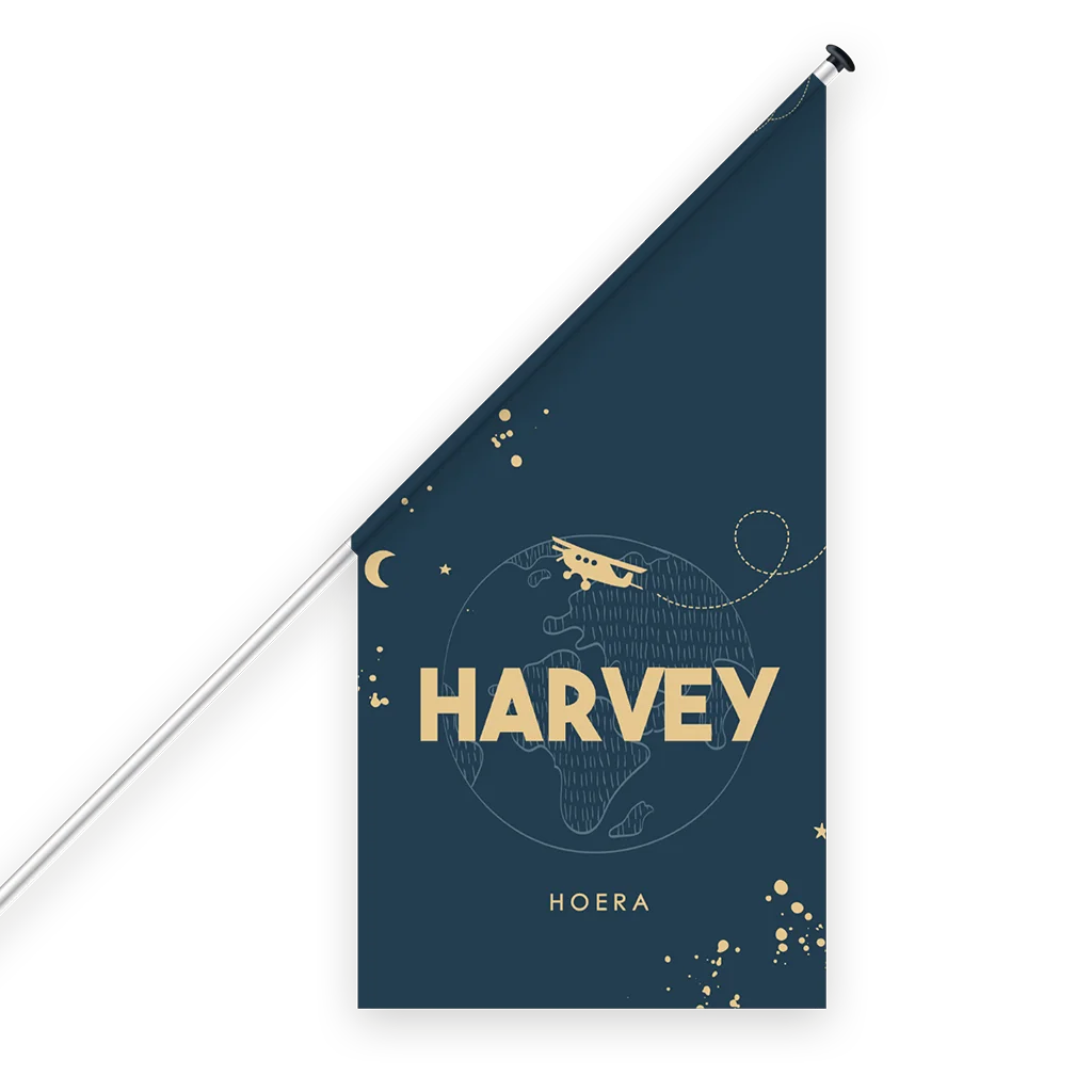 Geboortevlag jongen wereldbol