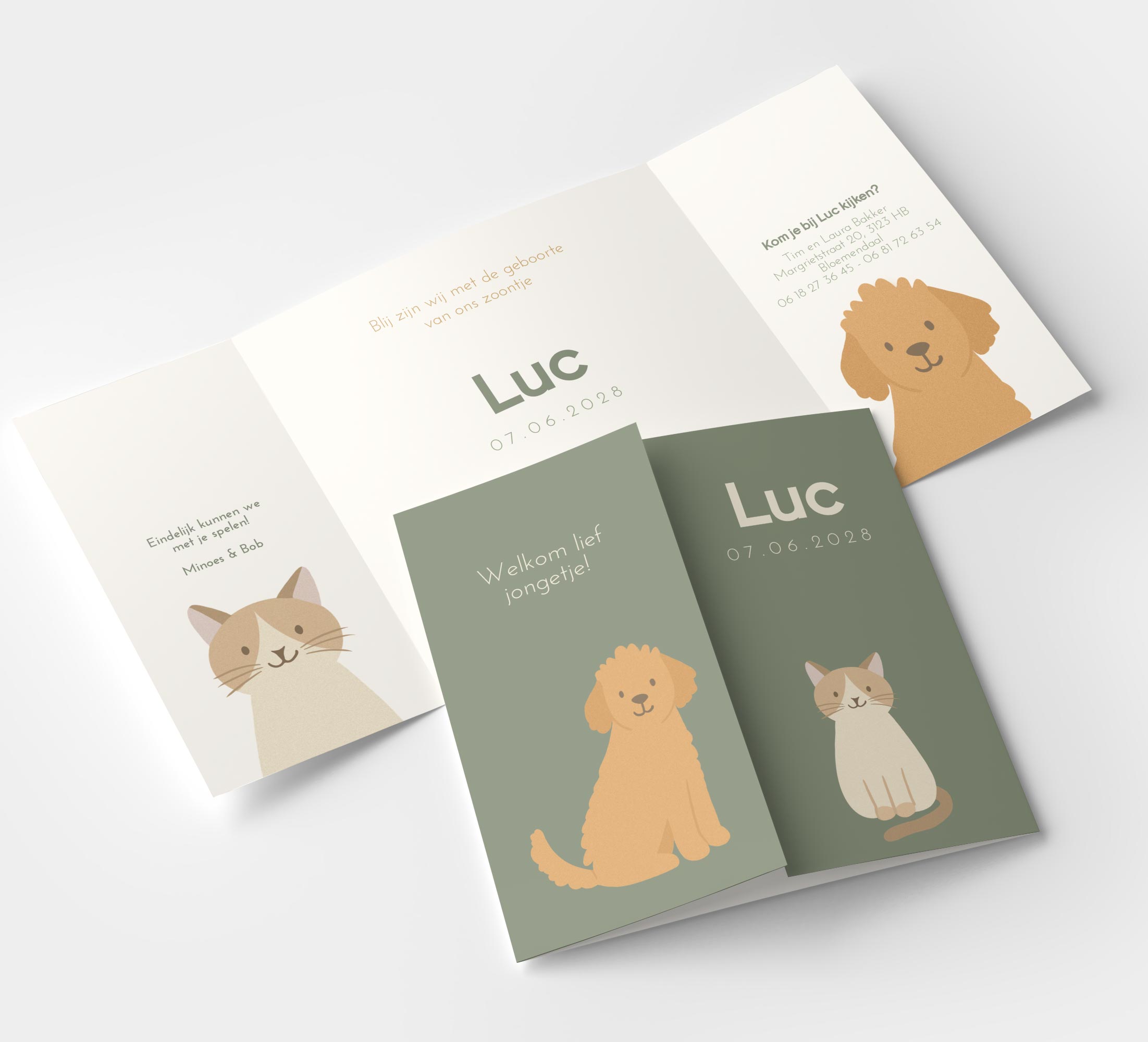 Vrolijk geboortekaartje jongen in theatervouw met hond en kat