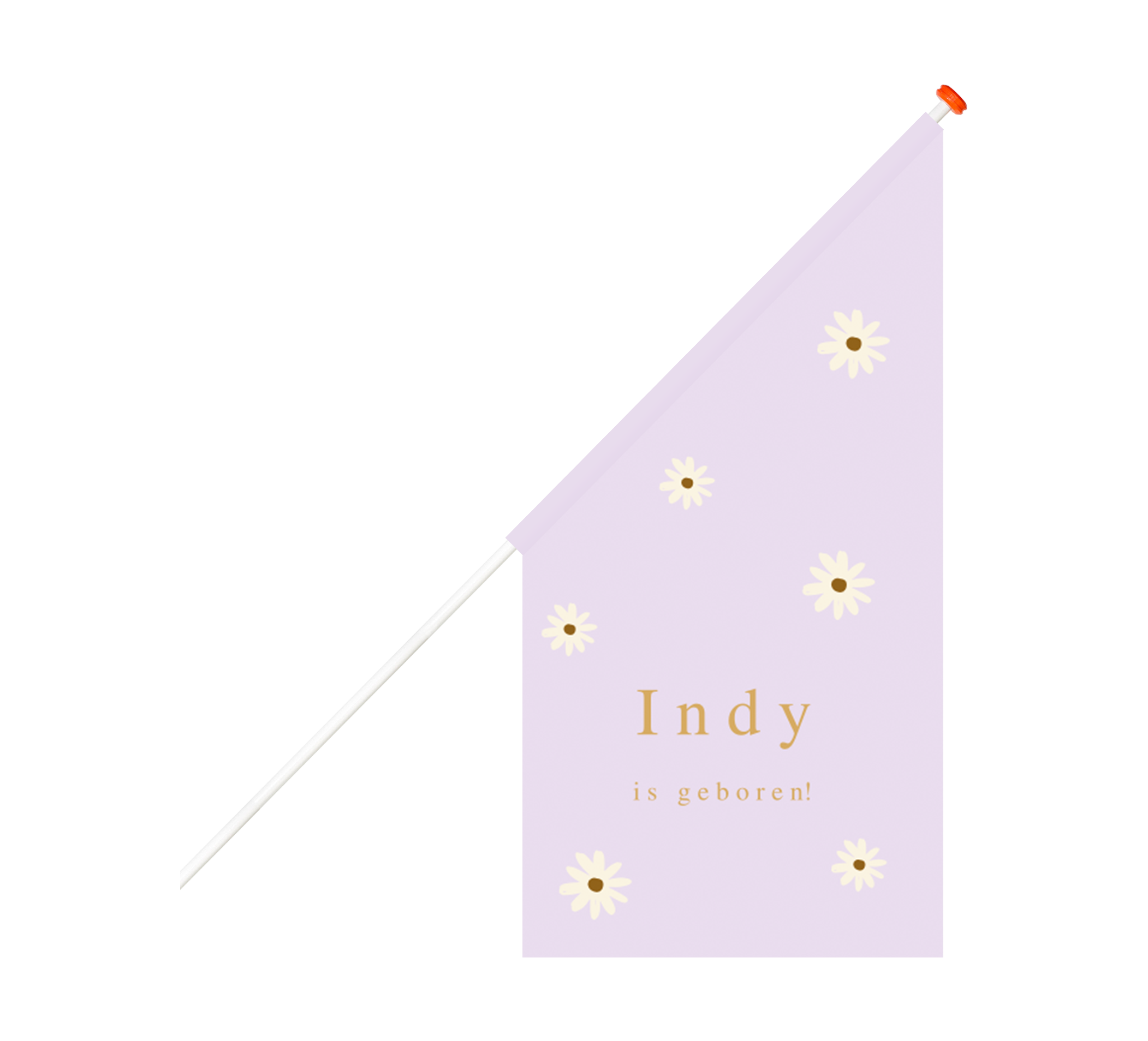 Vrolijke lila geboortevlag met madeliefjes