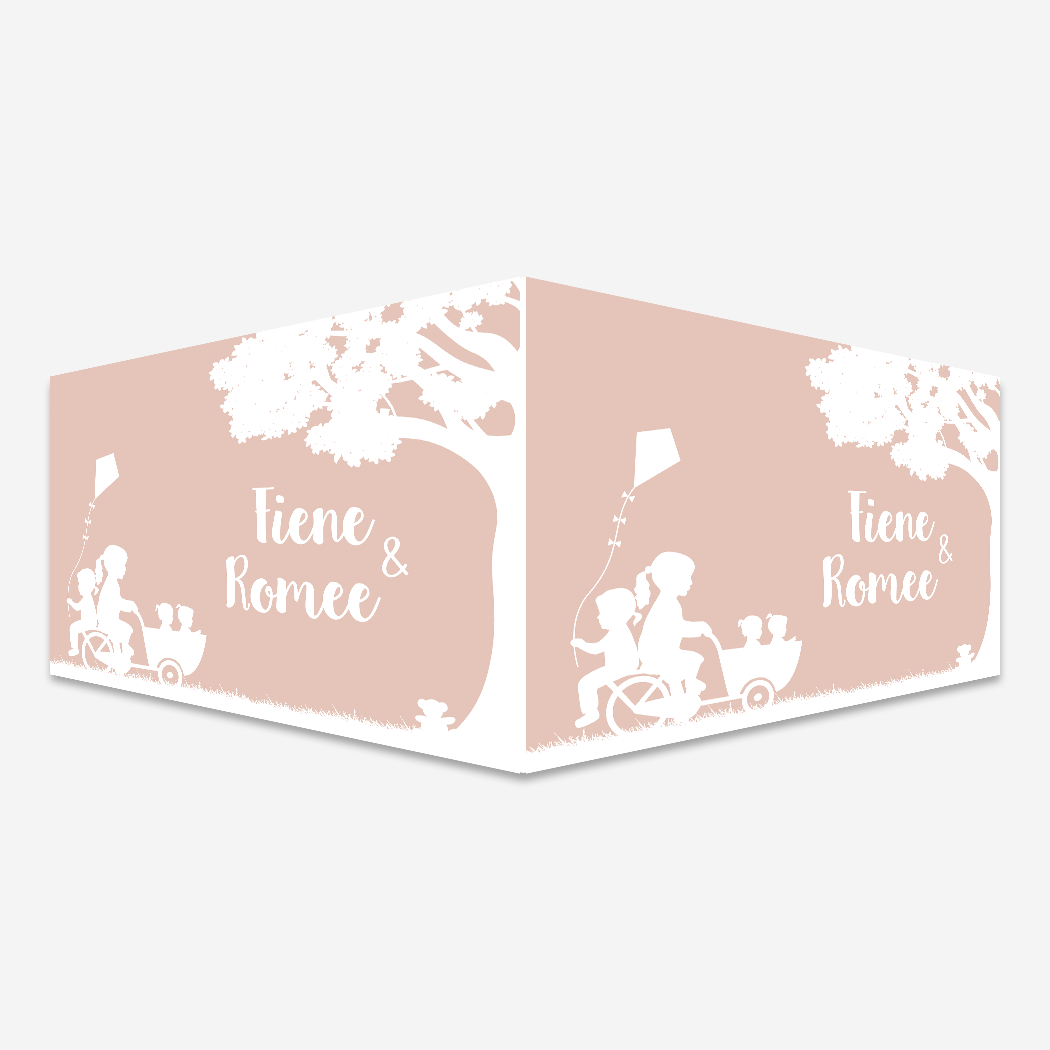 Geboortebord Raambord Tweeling Roze Bakfiets