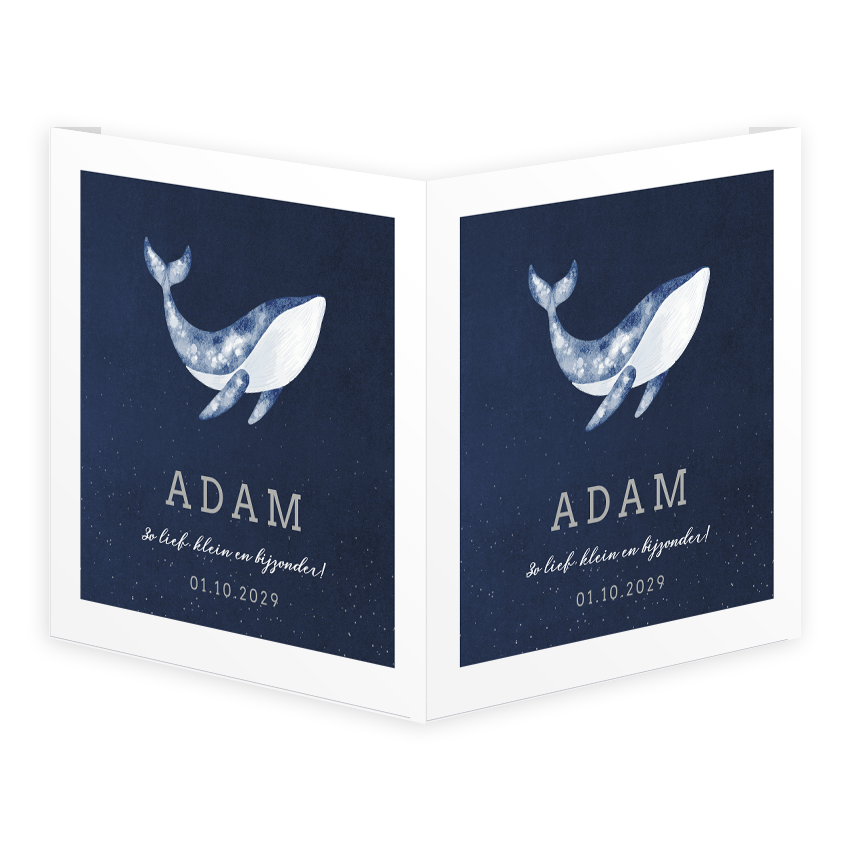 Raambord vierkant dubbel 50x50 cm | Waterverf walvis sterrenhemel