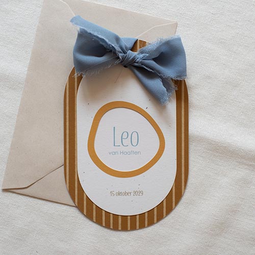 Geboortekaartje jongen labels met lint