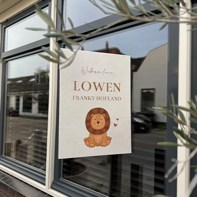 Geboortebord raam jongen leeuw