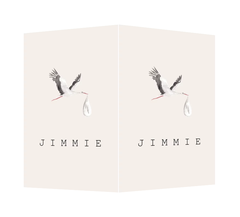 Geboortebord raambord unisex ooievaar watercolor