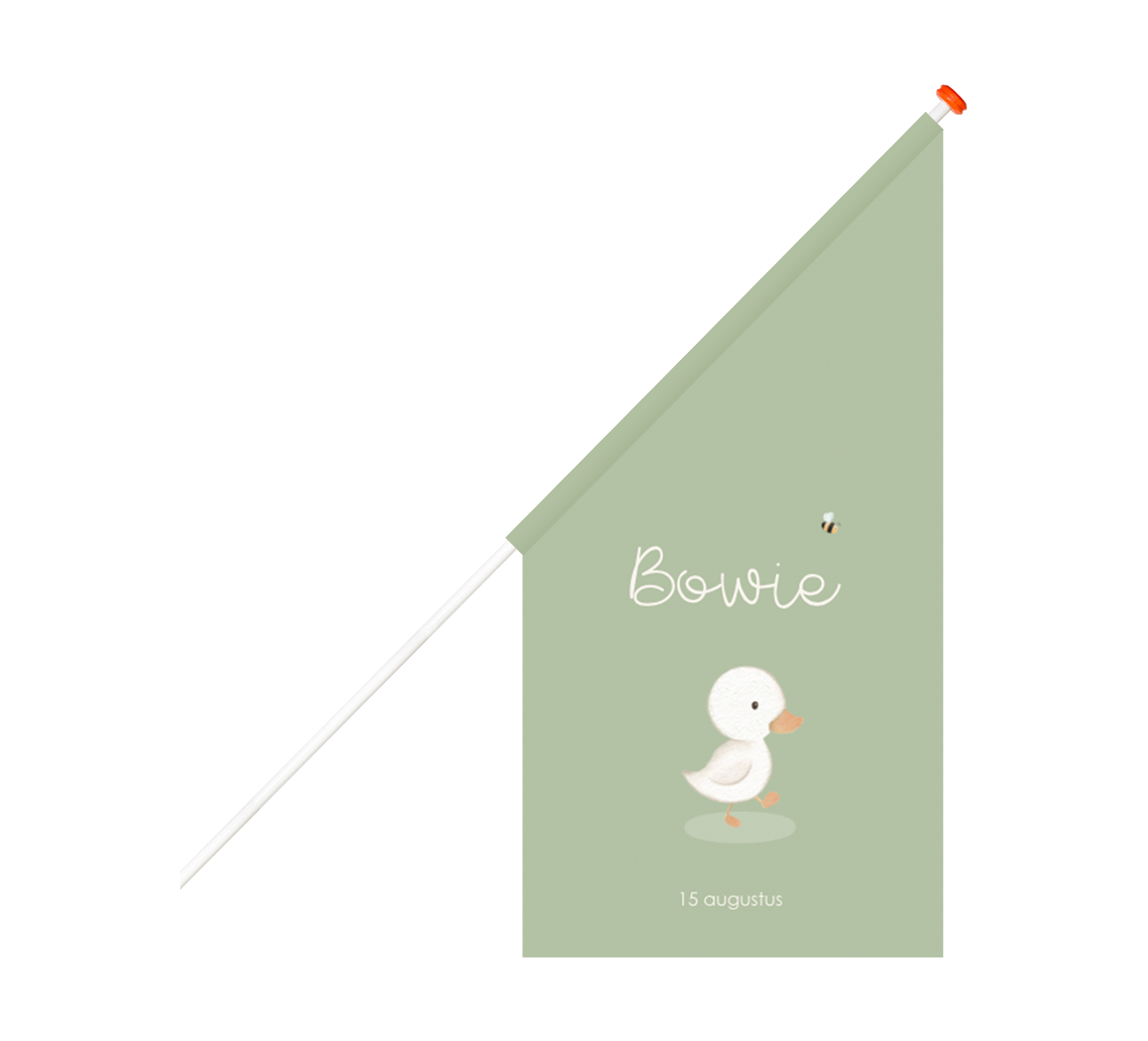 Geboortevlag groen met eendje en naam