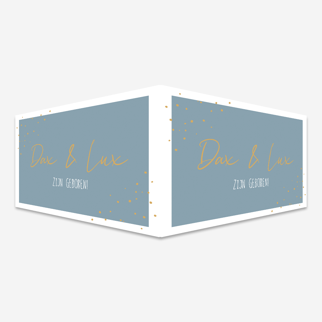 Geboortebord Raam Tweeling Blauw