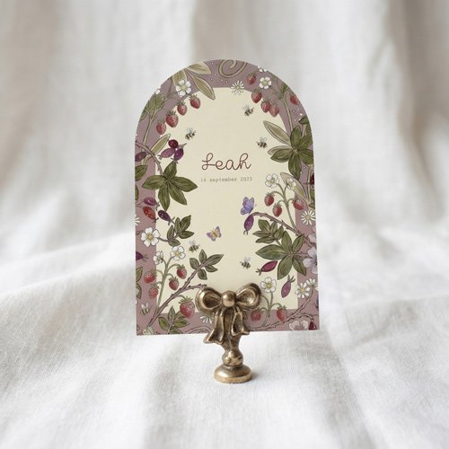 Geboortekaartje meisje zomer aardbeitjes bijtjes vlinders