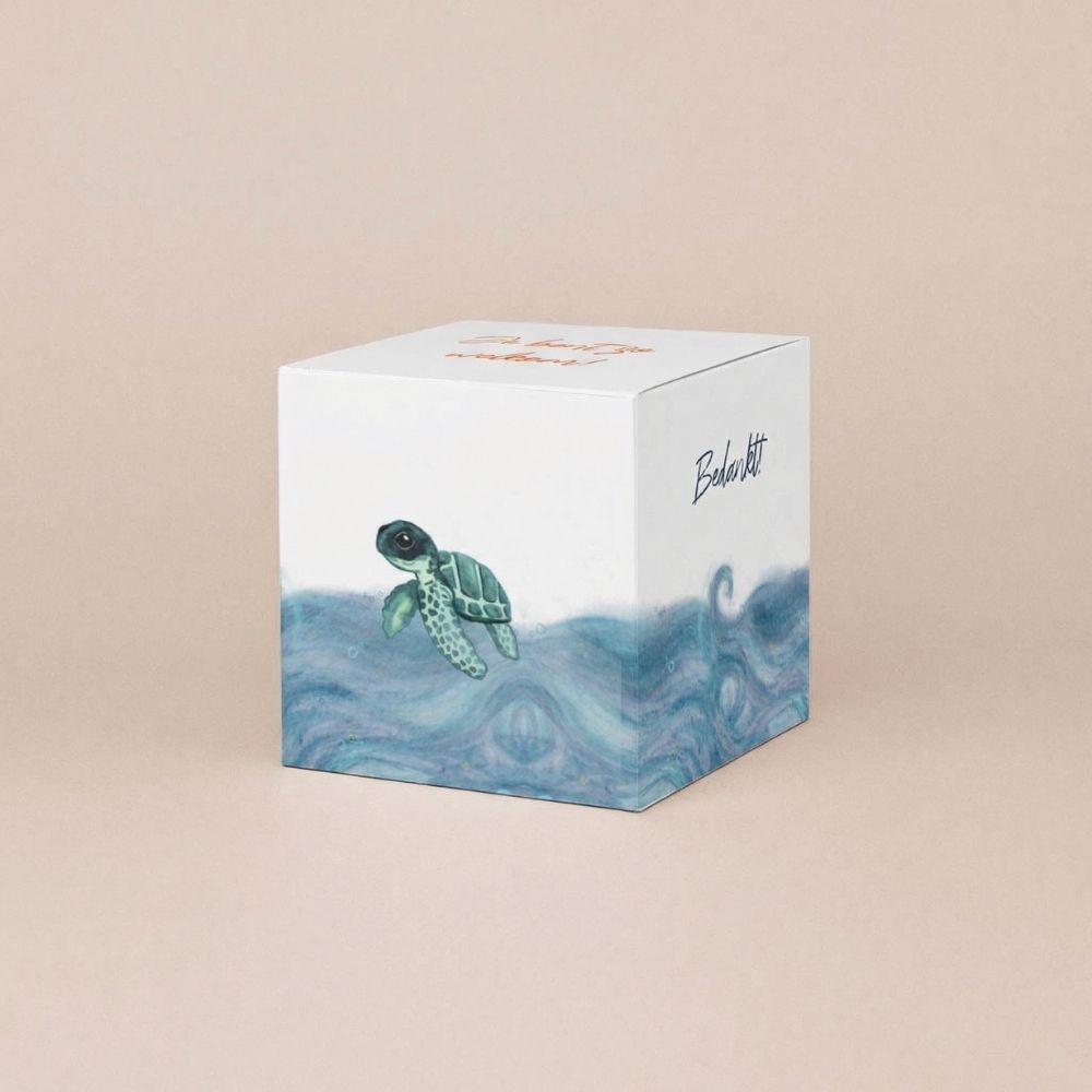 Doopsuiker doosje schildpad zee oranje visjes