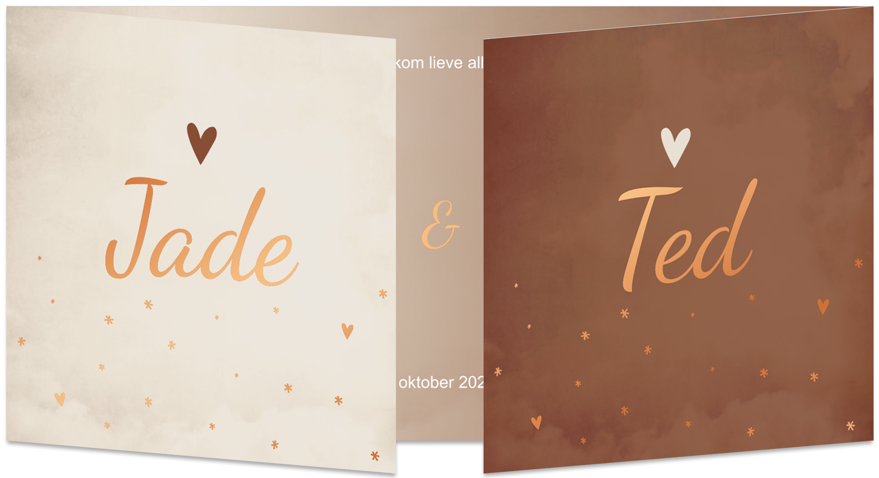 Geboortekaartje Tweeling Luikkaartje Panorama Beige Roestbruin