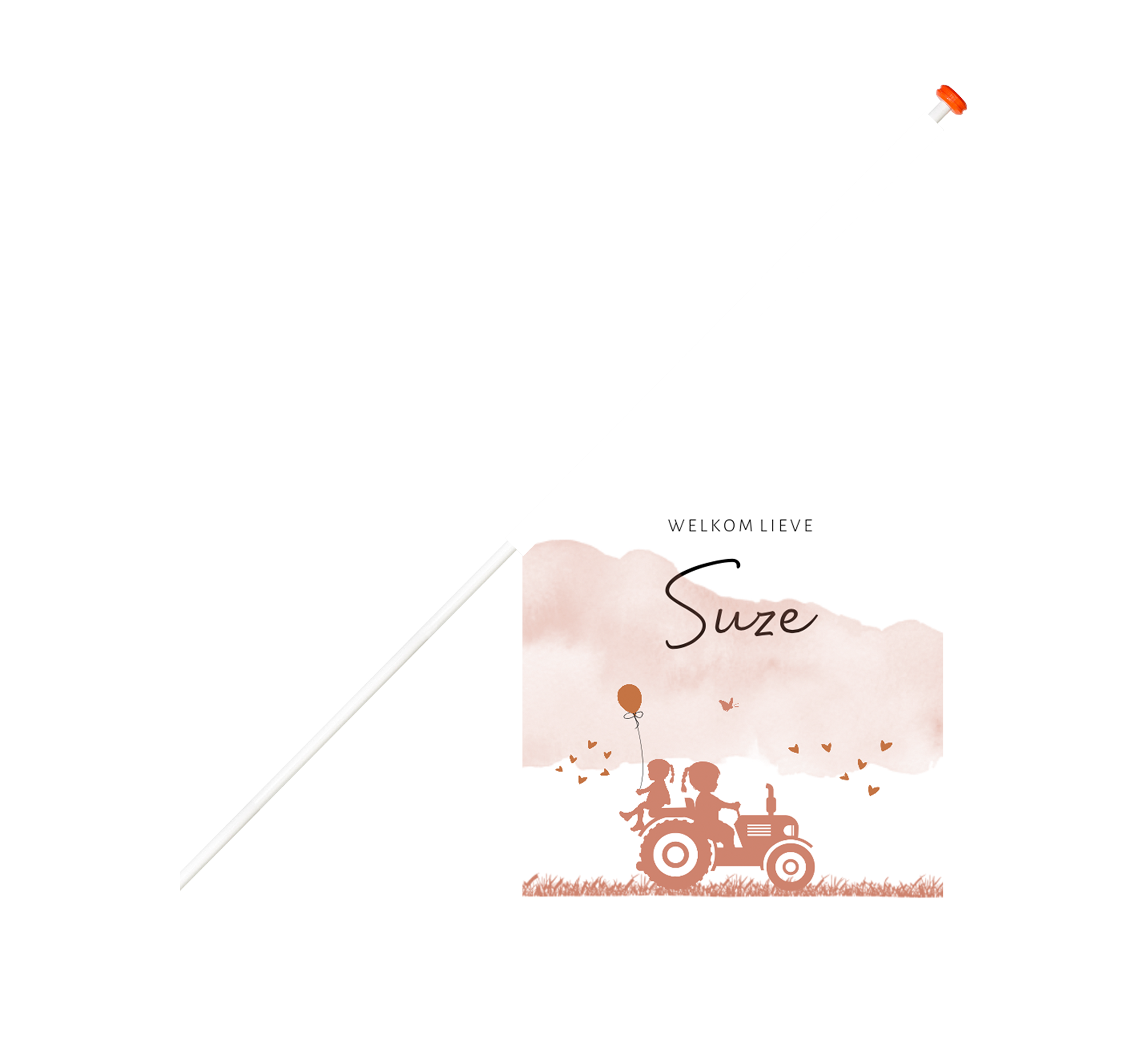 Geboortevlag met zusjes op trekker in het roze