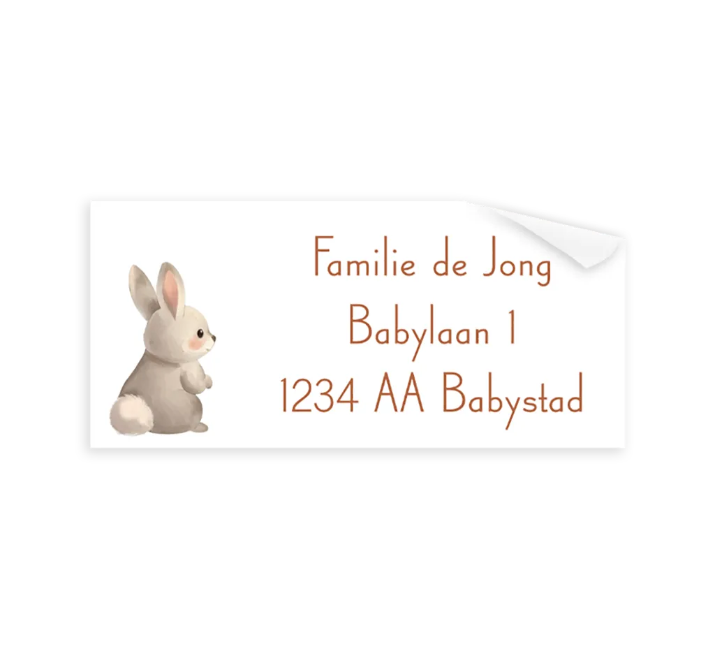 Adresstickers wit met konijn