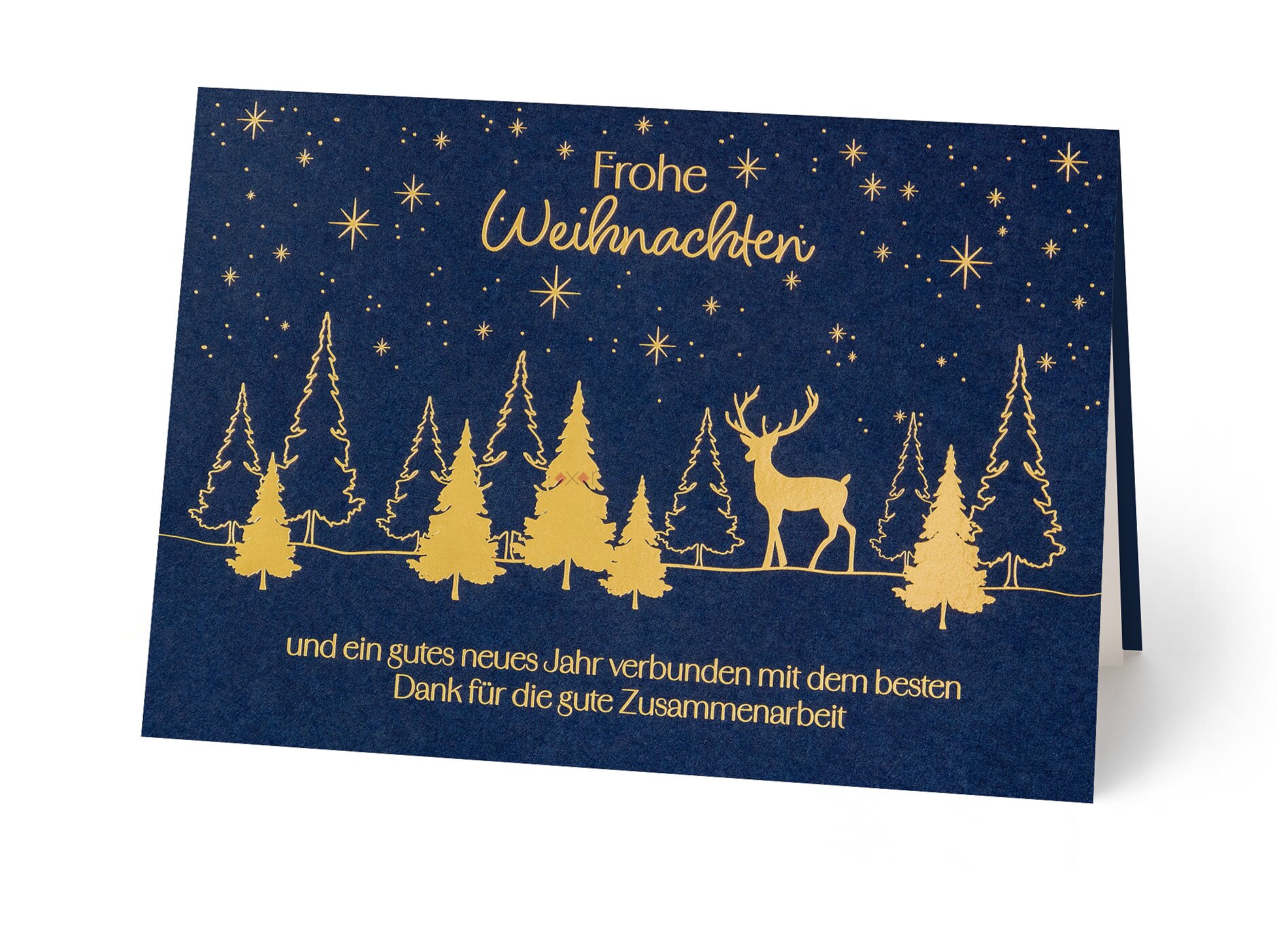 Goldene Weihnachten 67623