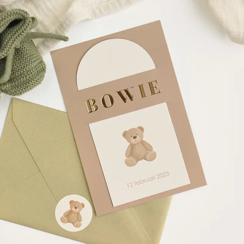 Insteek geboortekaartje met teddybeertje