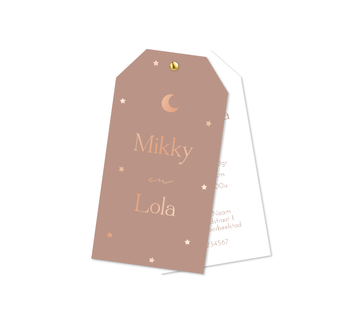 Tweeling label geboortekaartje met roségoudfolie sterren en maantje