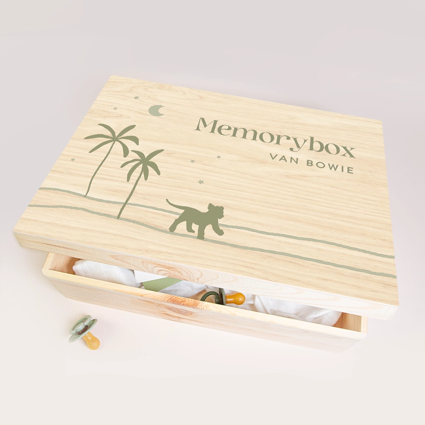 Herinneringsdoos landschap met stoer leeuwtje