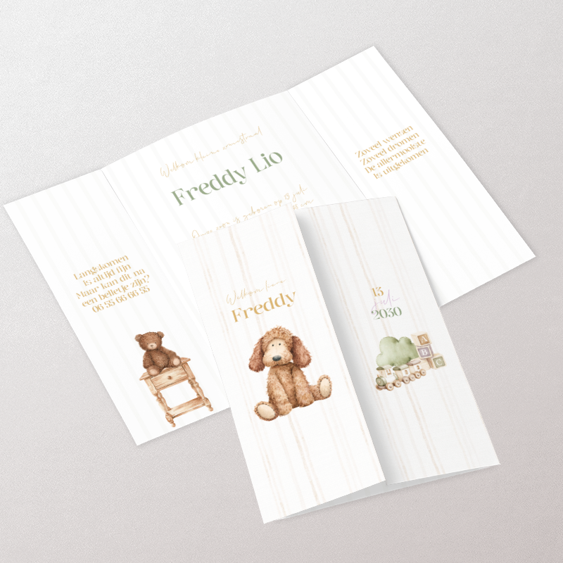 Geboortekaartje jongen met hondje labradoodle luik vouw