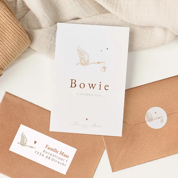 Lief geboortekaartje met ooievaar en hoogglans