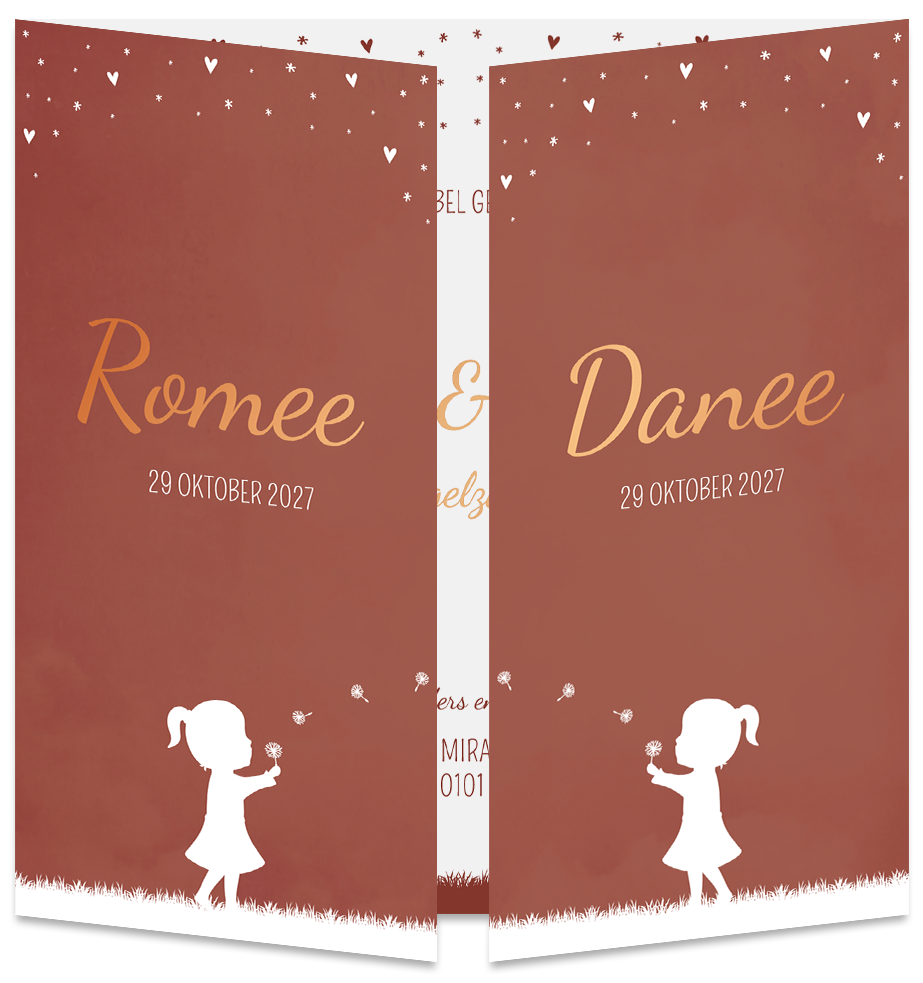 Geboortekaartje Tweeling Luikkaartje Meisjes Paardenbloempluisjes