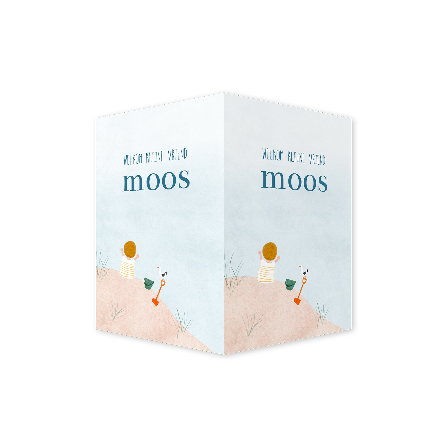 Raambord strand duinen