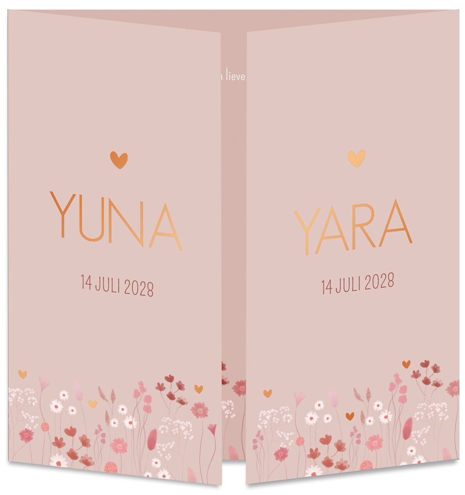 Geboortekaartje Tweeling Droogbloemen Roze Luikkaartje