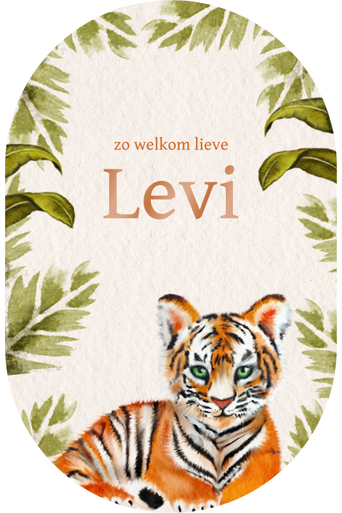 Origineel jungle geboortekaartje met illustratie van tijgerwelp