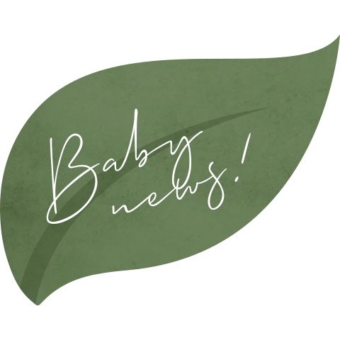 Groene sluitsticker in de vorm van een blaadje