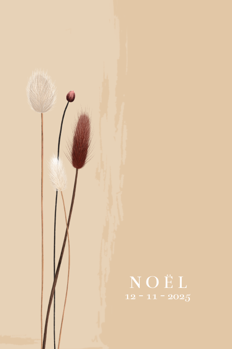 Stijlvol geboortekaartje voor meisje met hippe droogbloemen