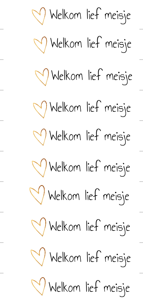 DIY label Welkom Lief Meisje