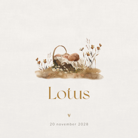 Lief geboortekaartje met illustratie mandje en veldbloemen