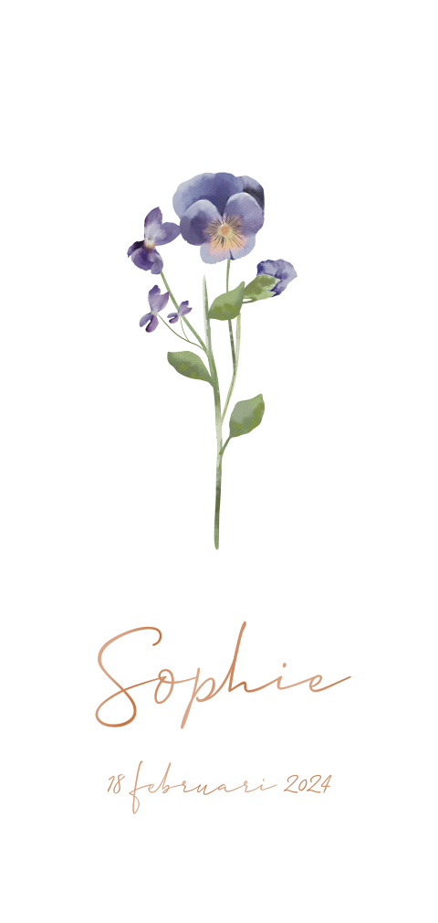 Hoogglans geboortekaartje met geboortebloem viooltje