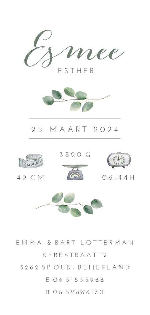 Stijlvolle geboortekaart voor meisje met eucalyptus bladeren