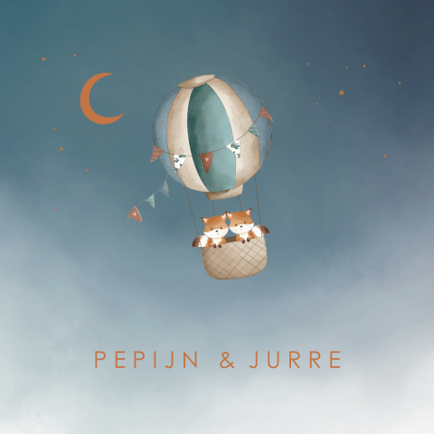 Lieve poster voor babykamer met tweeling vosjes in luchtballon