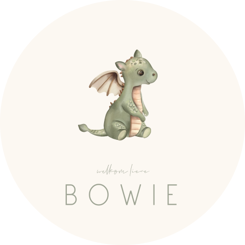 Lieve raamsticker met baby draakje