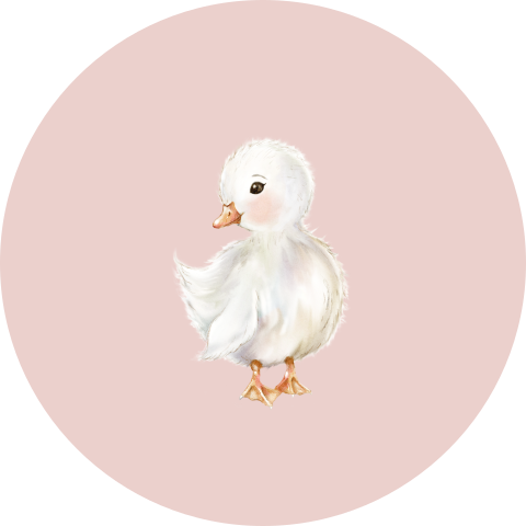 Lieve roze sluitsticker met illustratie van eendje
