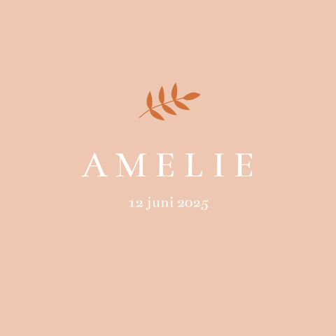 Lief geboortekaartje met takje voor een meisje