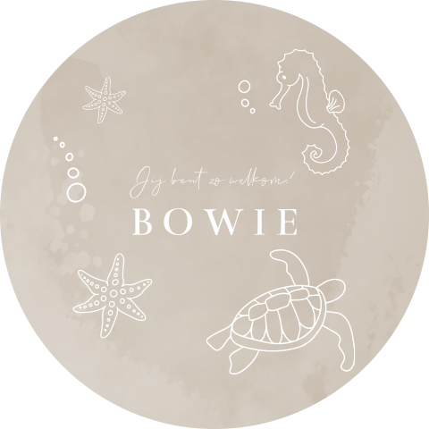 Beige velvet-look raamsticker met onderwaterwereld thema