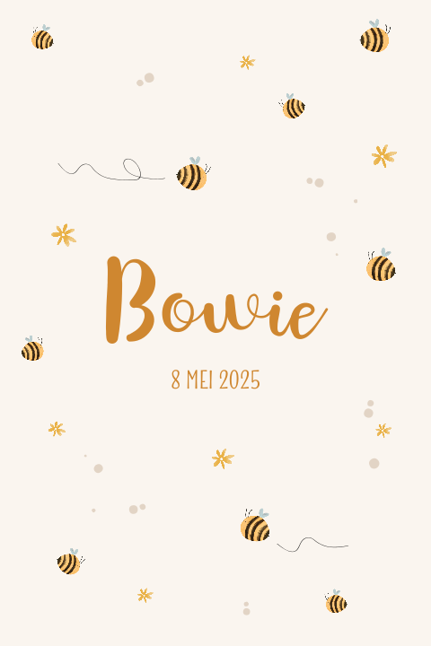 Vrolijk geboortekaartje met illustraties bijtjes